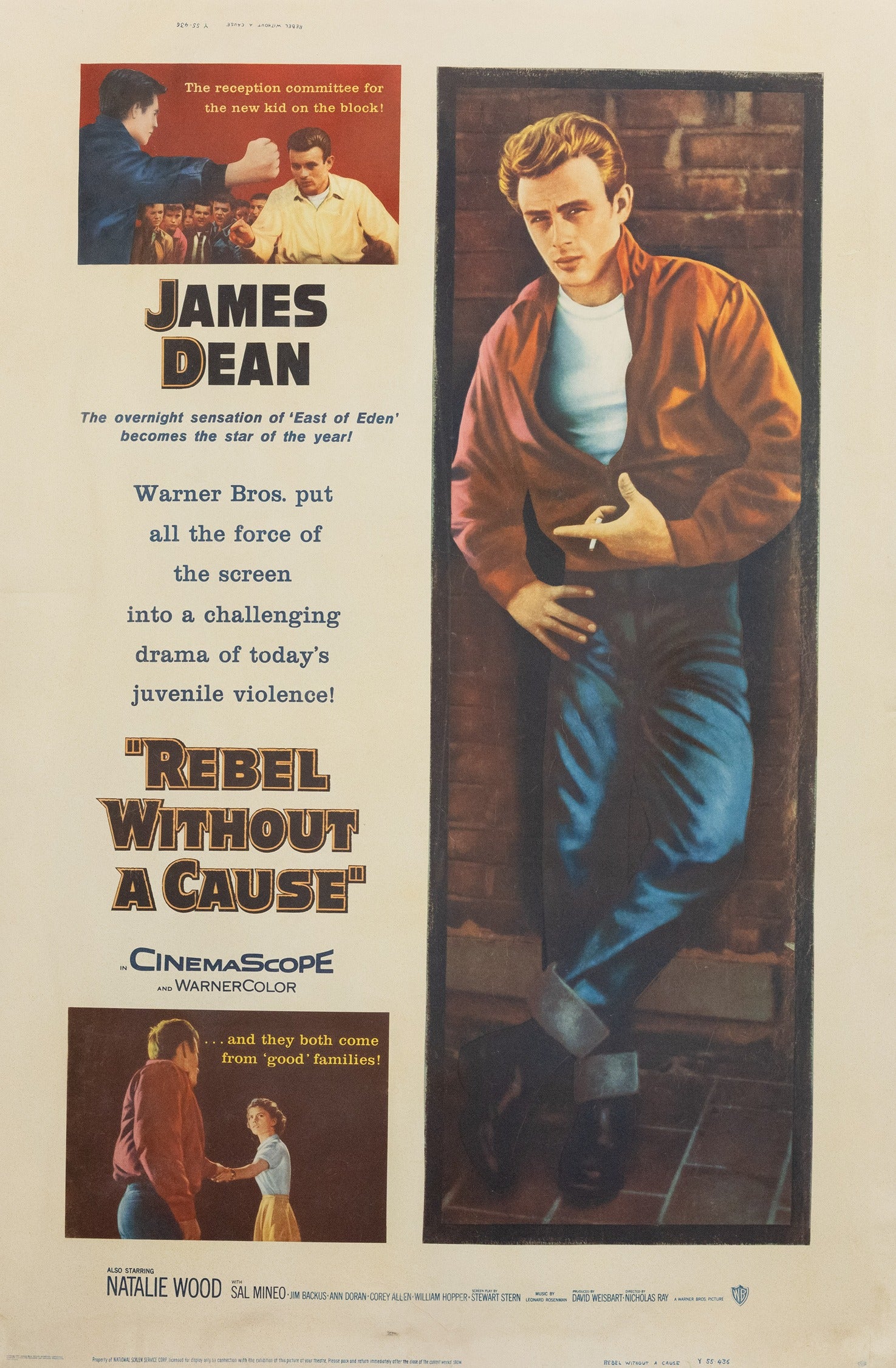 Rebel Without a Cause