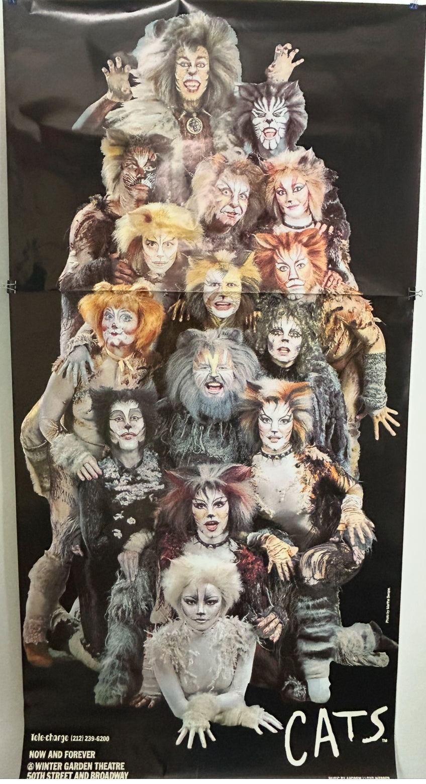 Cats