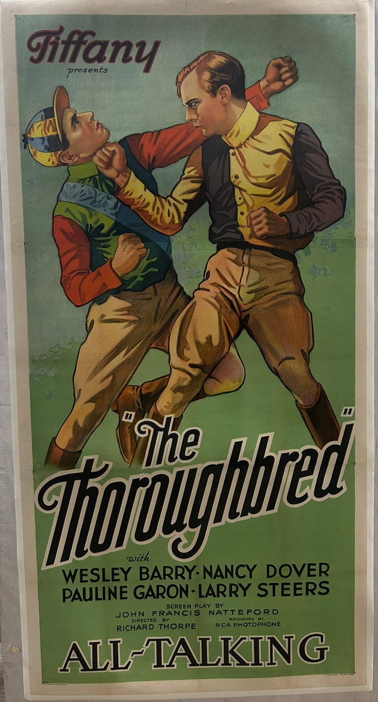 Thoroughbred